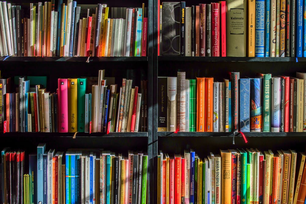 Bookhulk Bookshelf