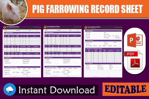 Farrowing Record Sheet Printable PDF for Pig Farmers
