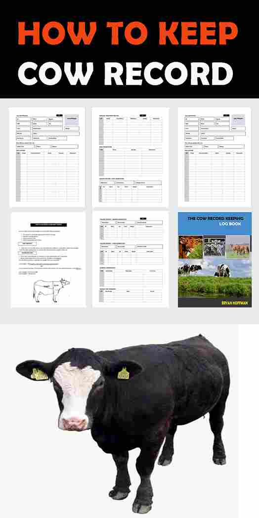 The Cow Record Keeping Book