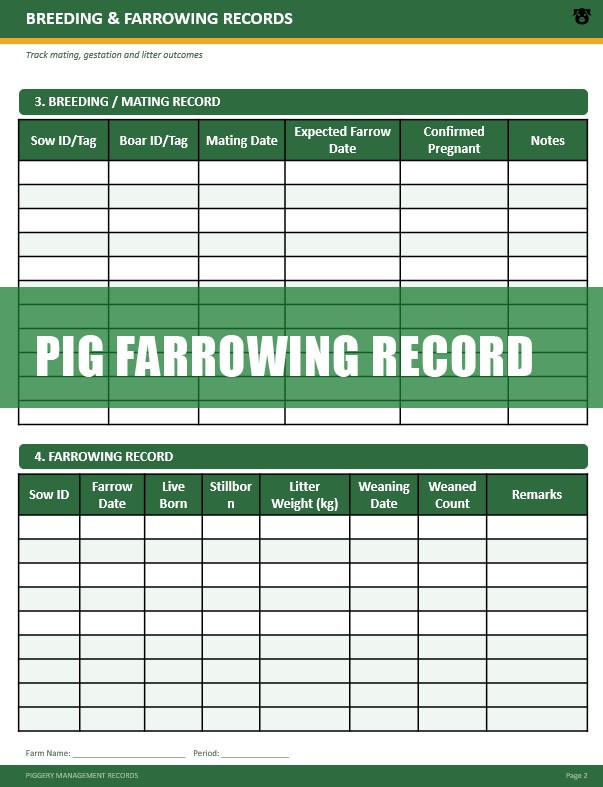 Piggery Record Keeping Template 